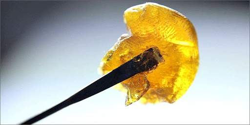 A prong holding a portion of CBD wax