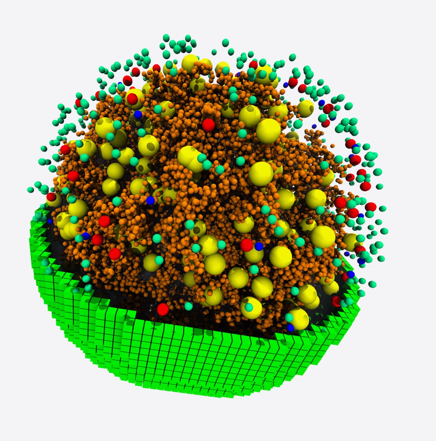 Visual illustration of cell simulation
