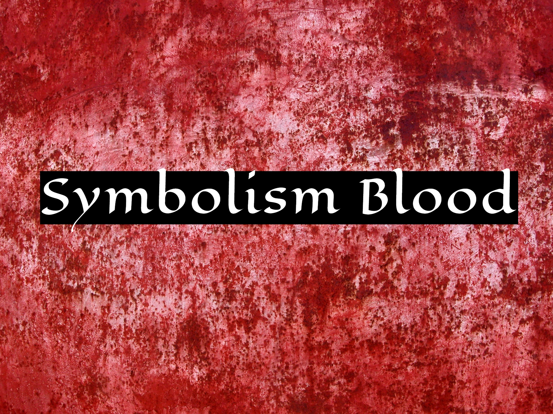 Symbolism Blood Represents - A Sacrifice Made