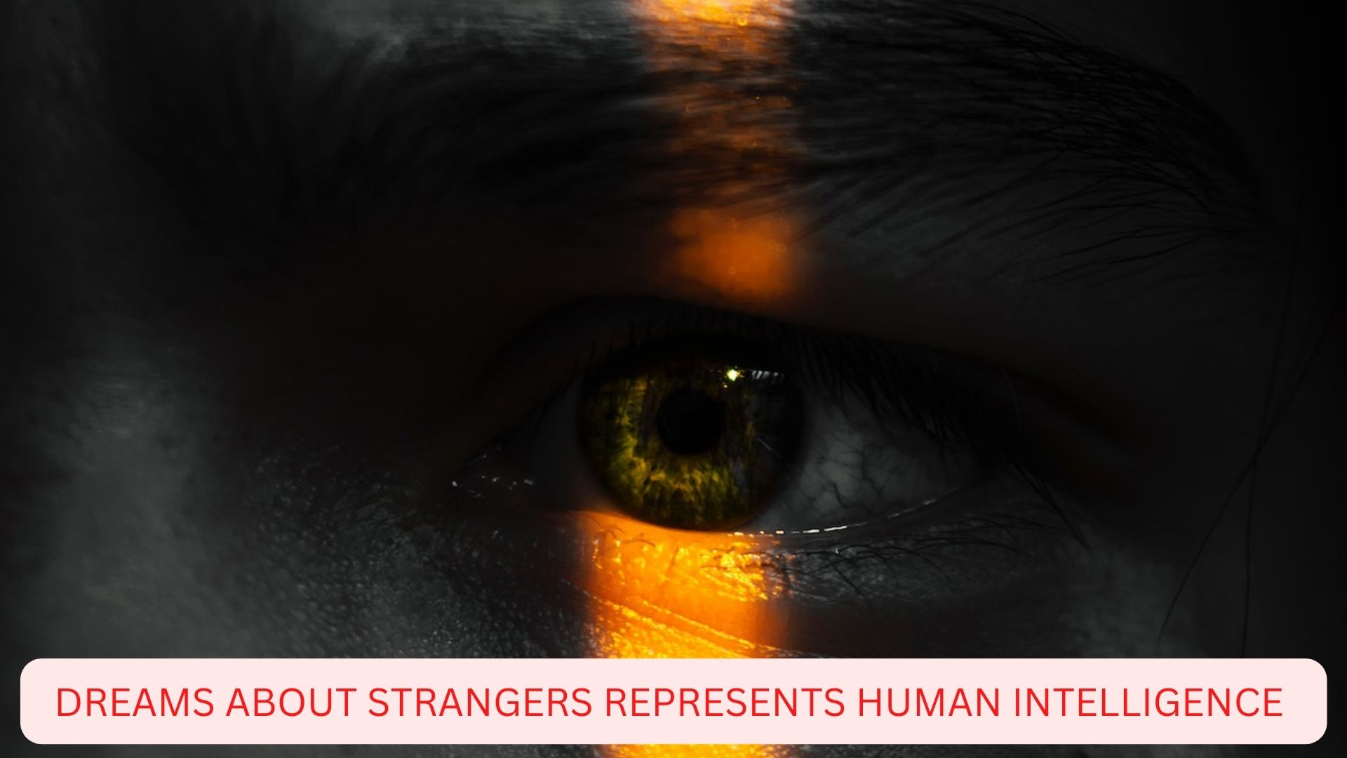 Dreams About Strangers - Represents Human Intelligence