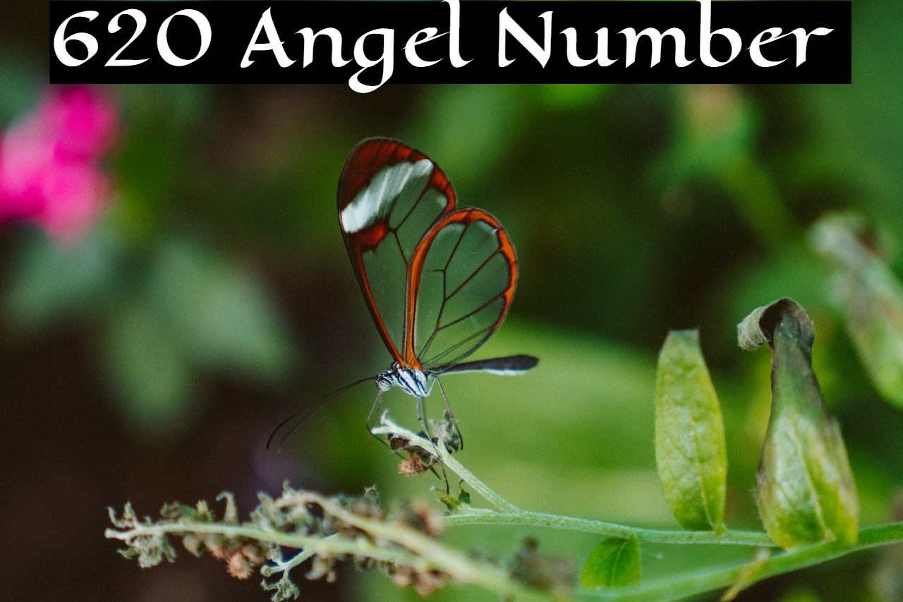 620 Angel Number - Symbolizes Your Spiritual Energy