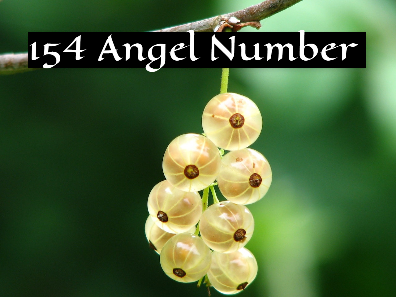 154 Angel Number - Meaning & Twin Flame