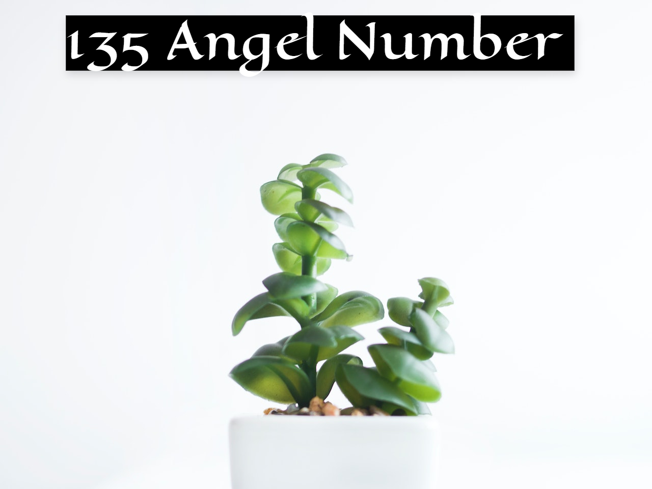 135 Angel Number Meaning - Positive Mind