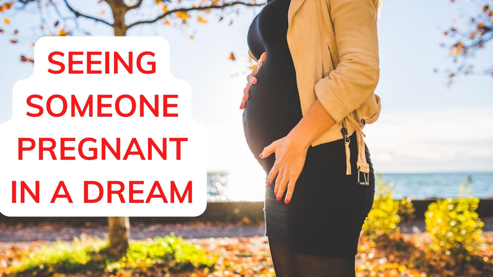 Seeing Someone Pregnant In A Dream - A Positive Sign