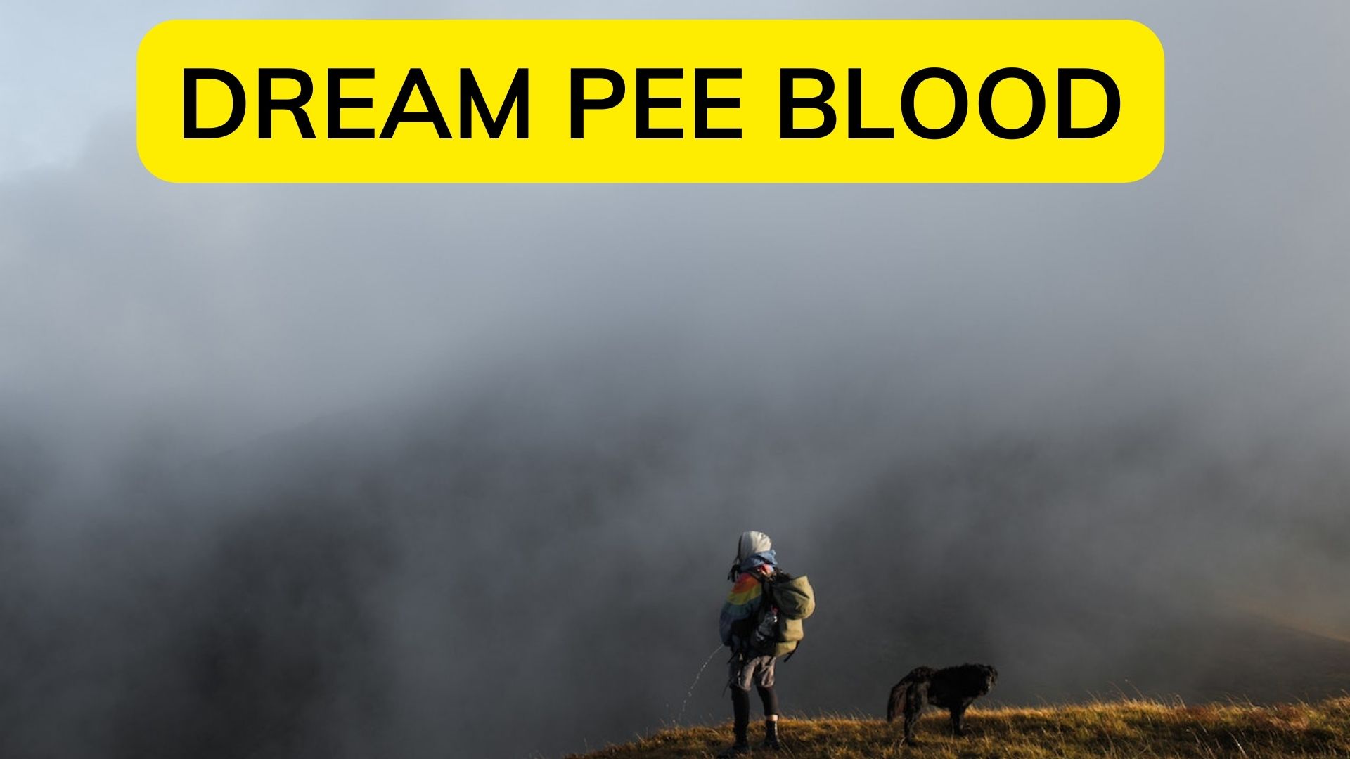 Dream Pee Blood Indicates Your Spiritual Body Is Detoxifying And Purifying