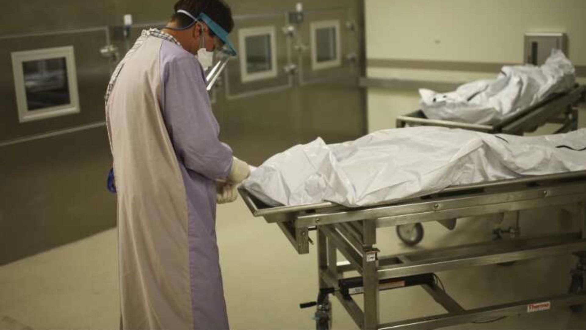 Doctor Opening Up Wrapped Dead Body