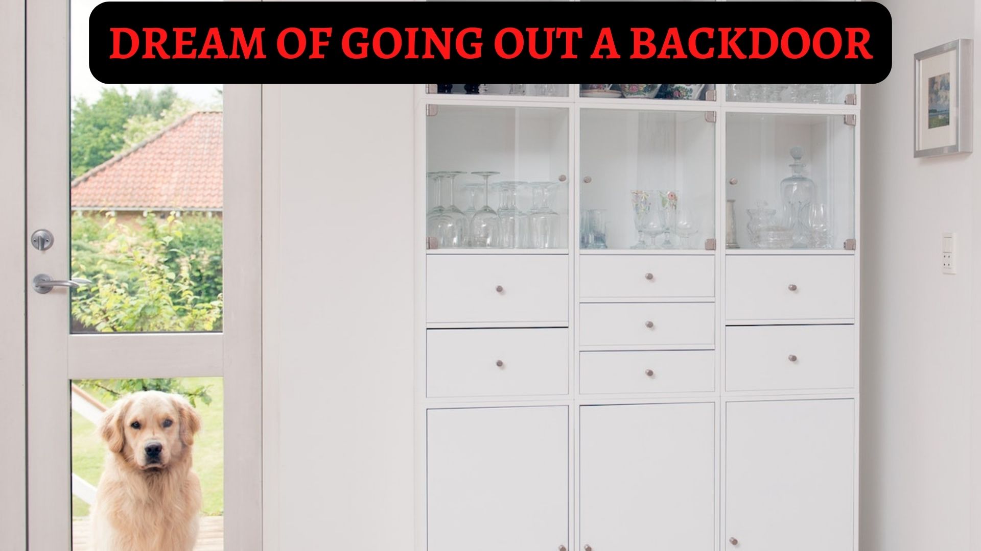 Dream Of Going Out A Backdoor -A  Possible Way Out Of Some Problems