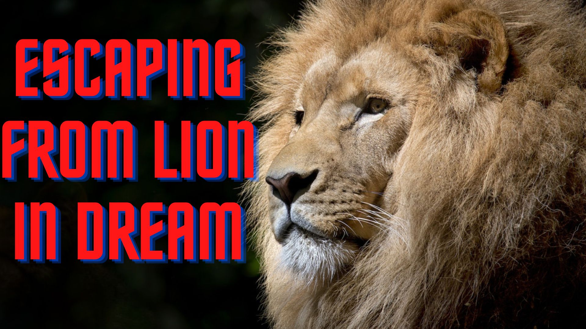 Escaping From Lion In Dream - A Sign Of Your Own Inner Transformation And Fire