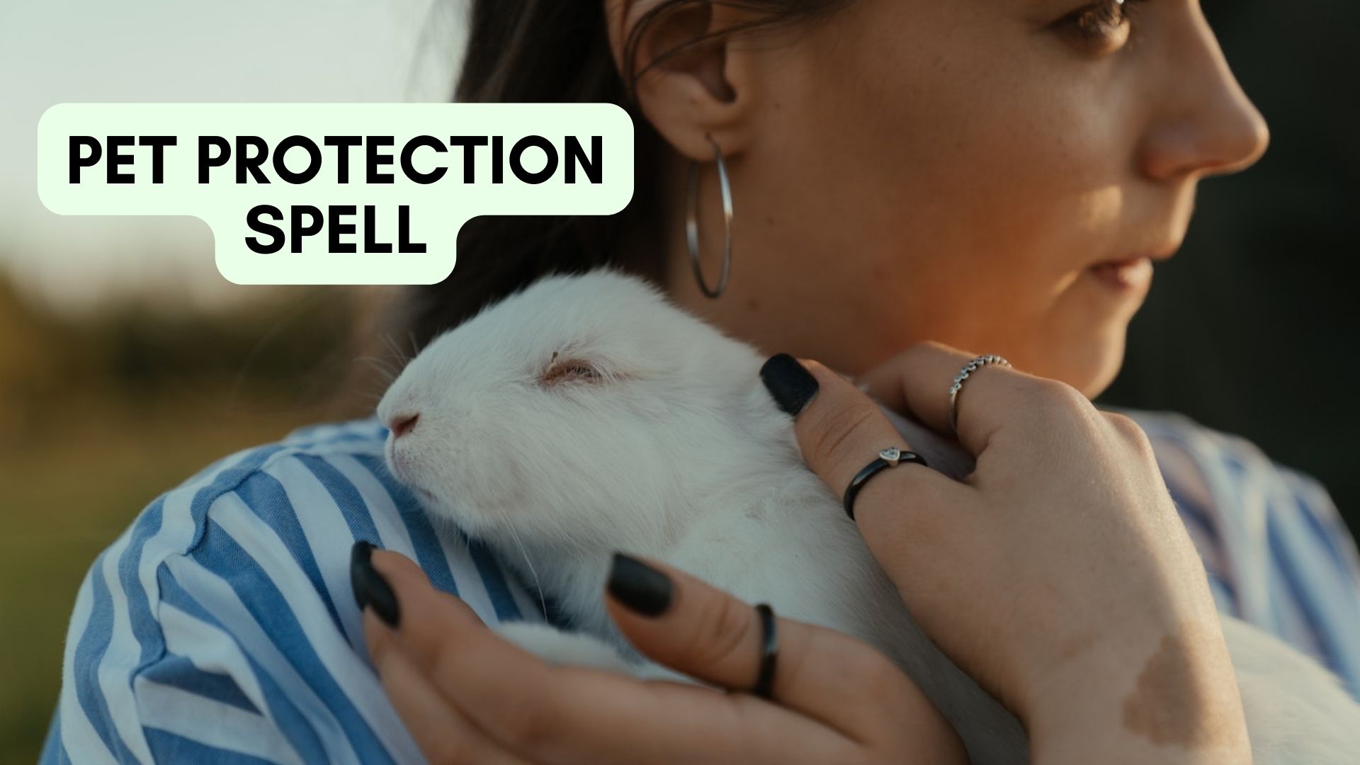 Pet Protection Spell - Perfect Way To Protect Your Pet