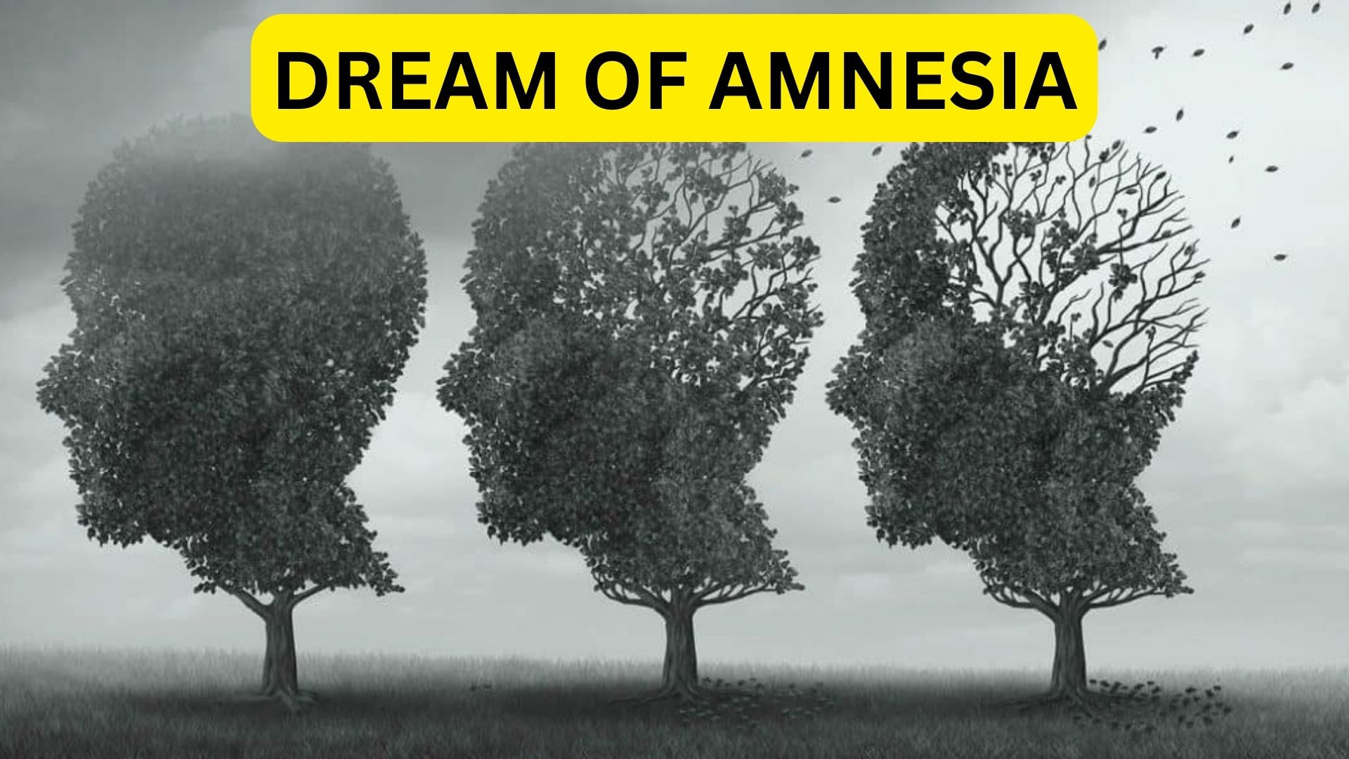 Dream Of Amnesia - It Indicates A Fear Of Change