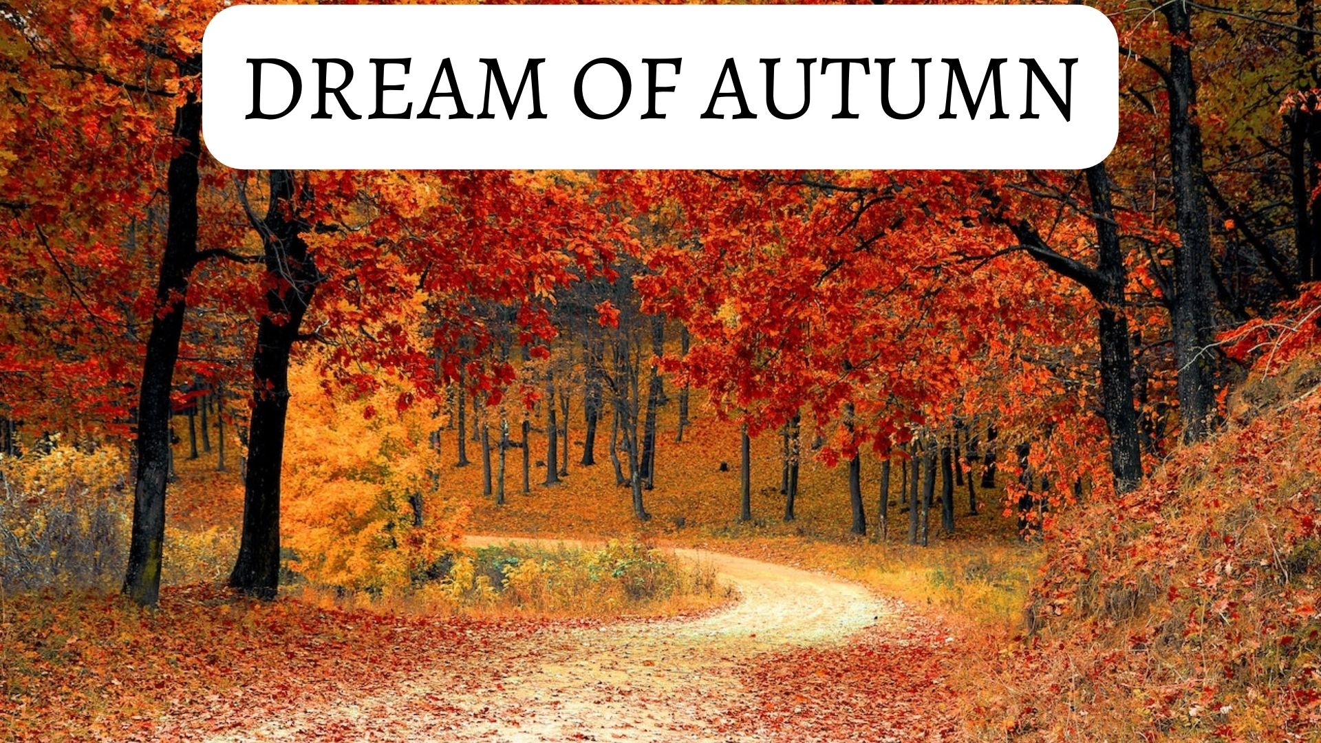 Dream Of Autumn - A Symbol Of Joy And Fun