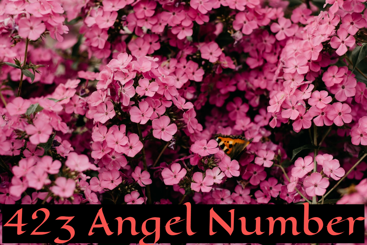 423 Angel Number - Concerned With Hard Work, Balance, And Luck