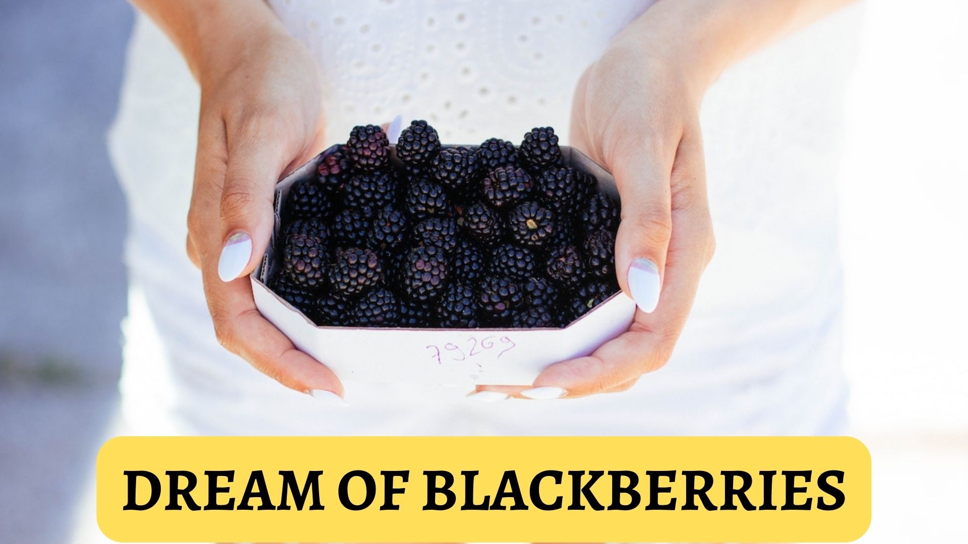 Dream Of Blackberries - A Symbolism Of Creativity And Novelty