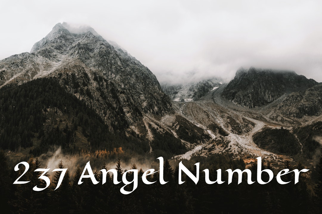 237 Angel Number - Relates To The Field Of Creativity