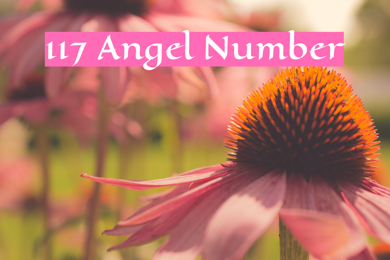 117 Angel Number - Indicates Hope And Encouragement