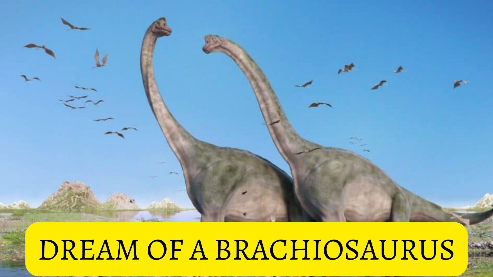 Dream Of A Brachiosaurus - Involves Fear Of Appearing Too Insignificant