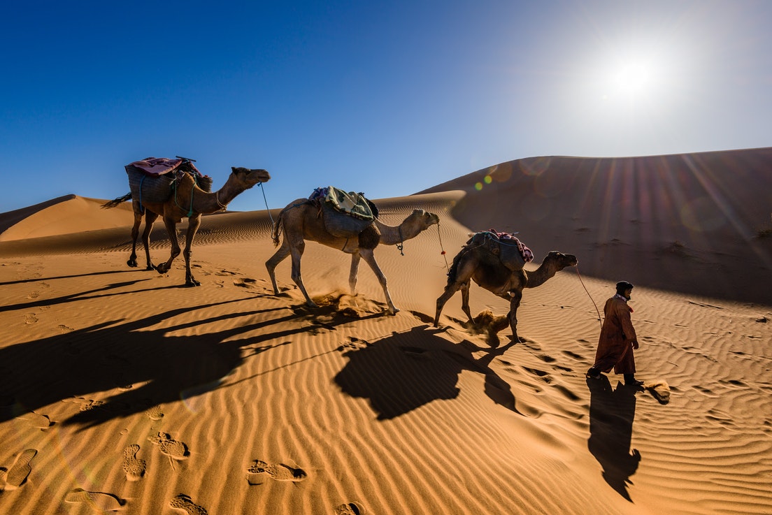 Person In Desert Leading Camel In Daytime