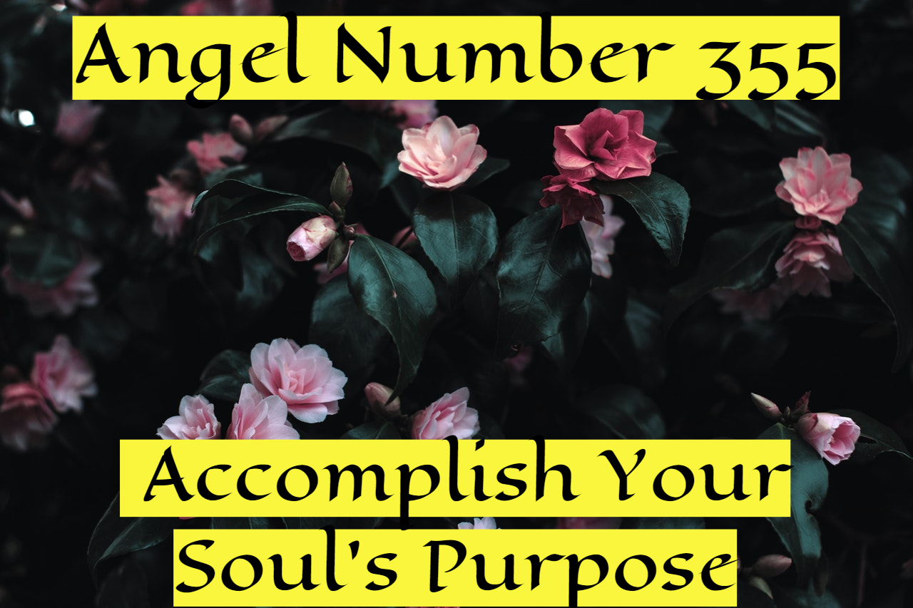 Angel Number 355 - Represents Major Life Changes