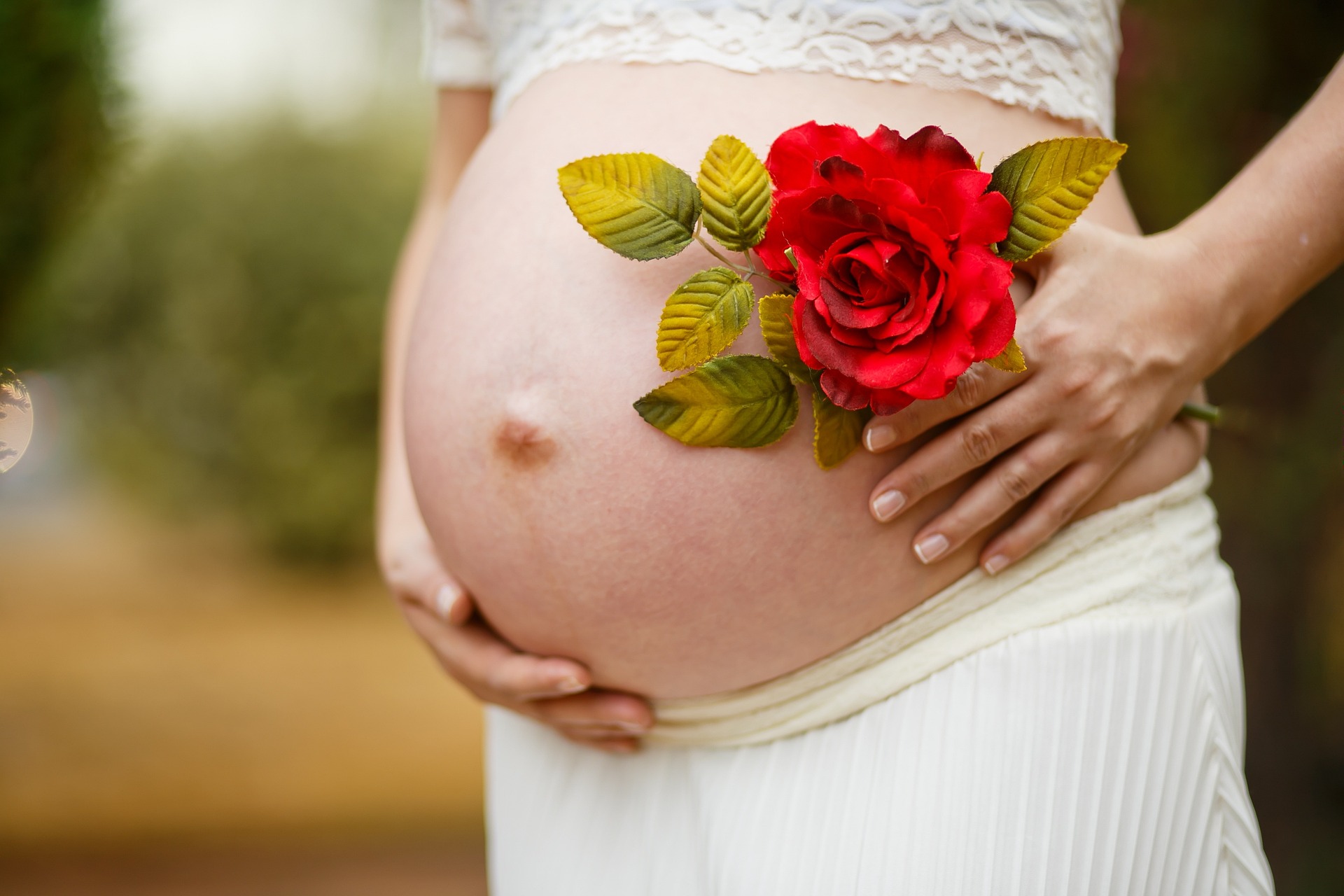 A pregnant woman holding a red rose on her belly
