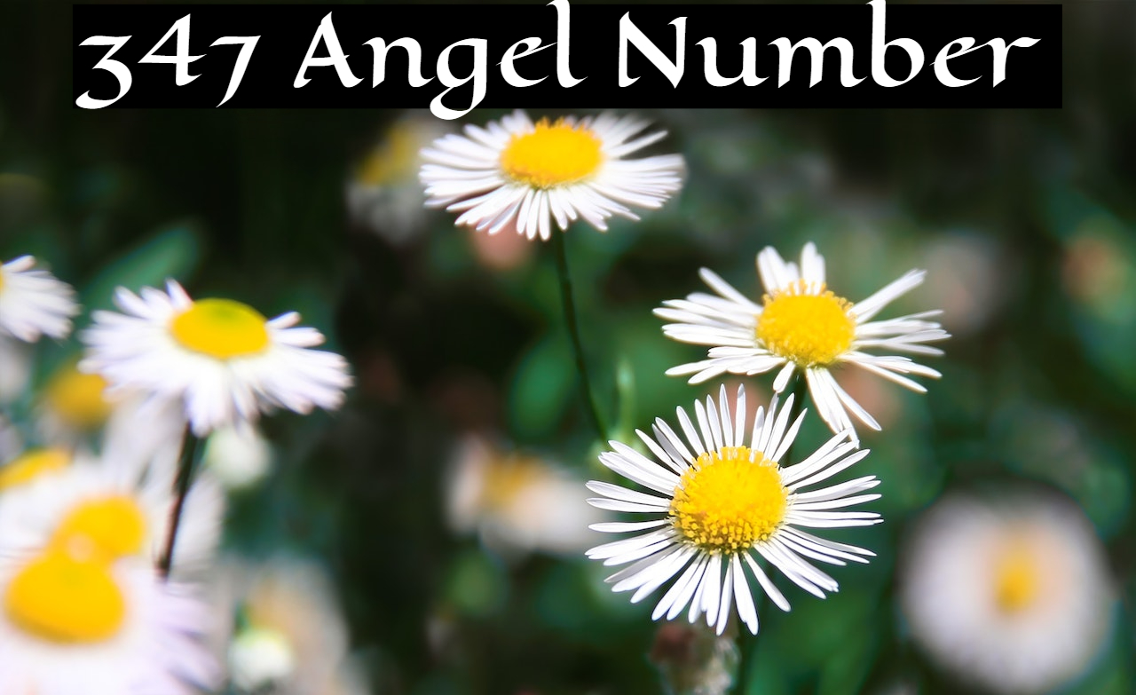347 Angel Number - Brings You Joy And Happiness
