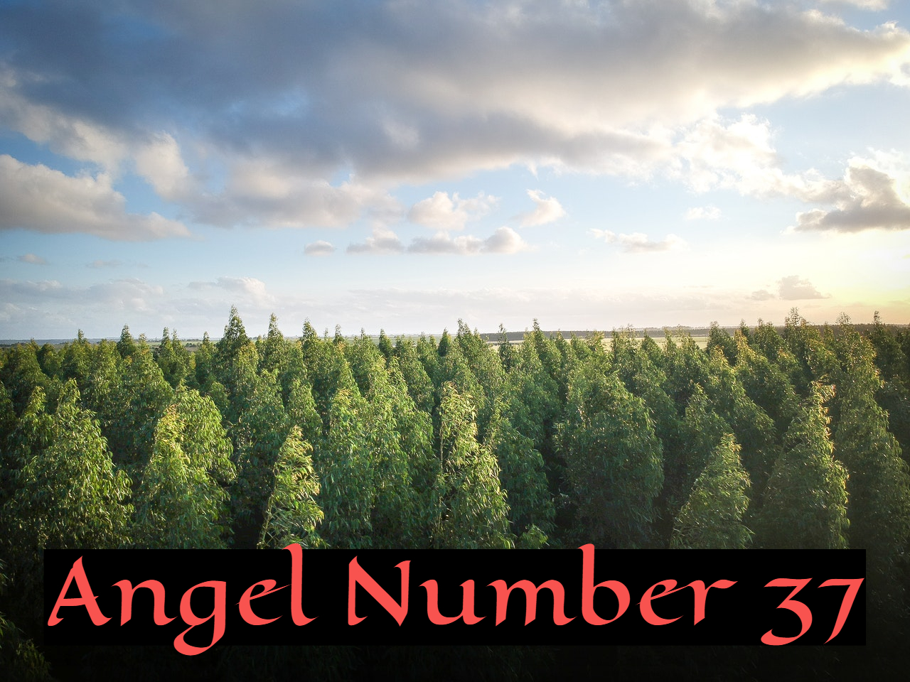 Angel Number 37 - Is An Extremely Positive Message