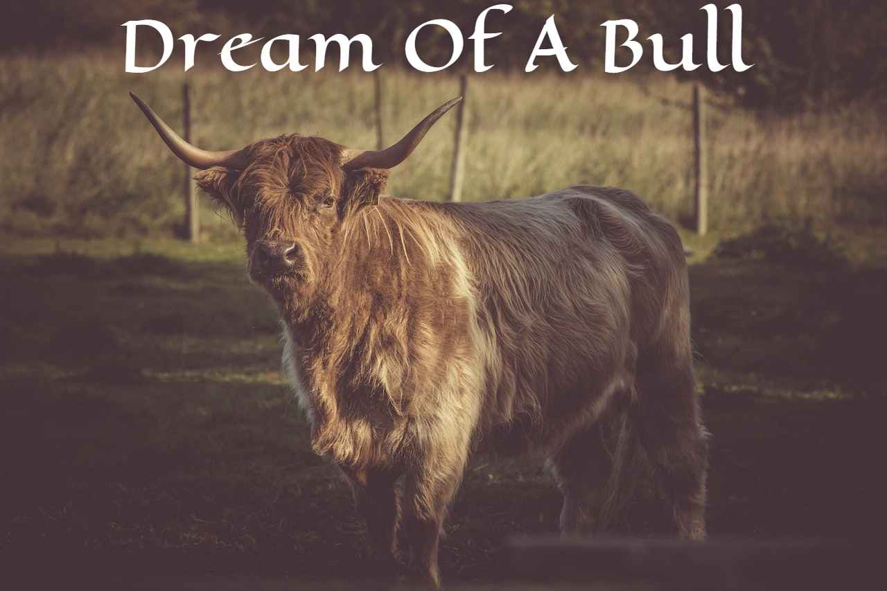 Dream Of A Bull - Meaning And Symbolism