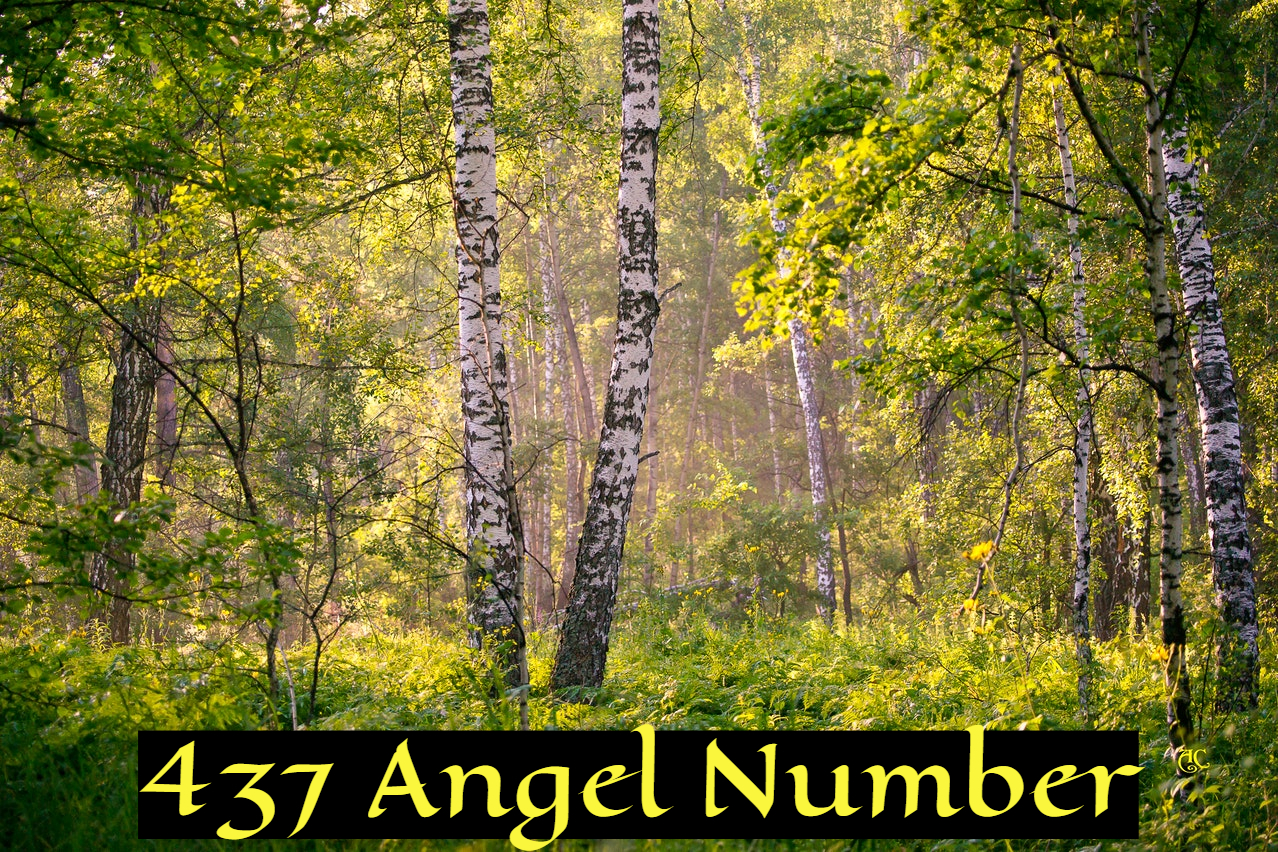437 Angel Number - Is Considered A Congratulatory Message