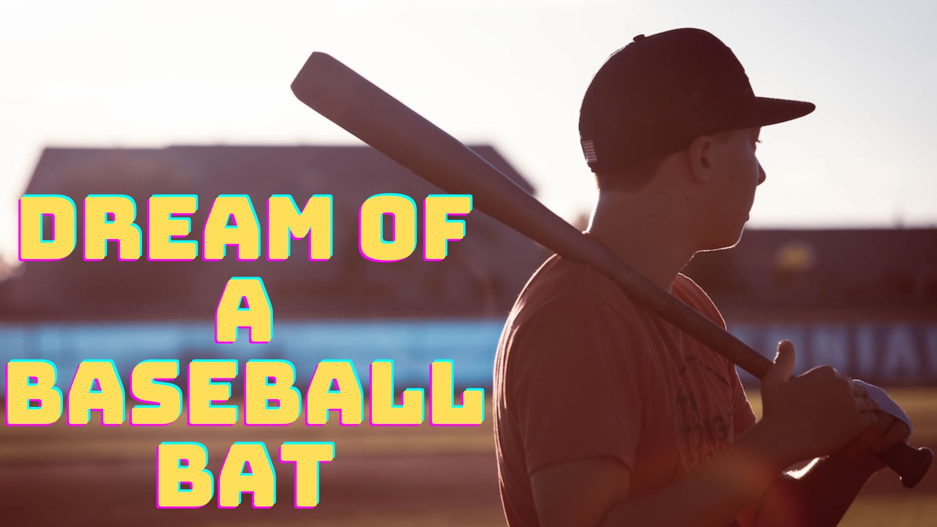 Dream Of A Baseball Bat - A Defensive Attitude