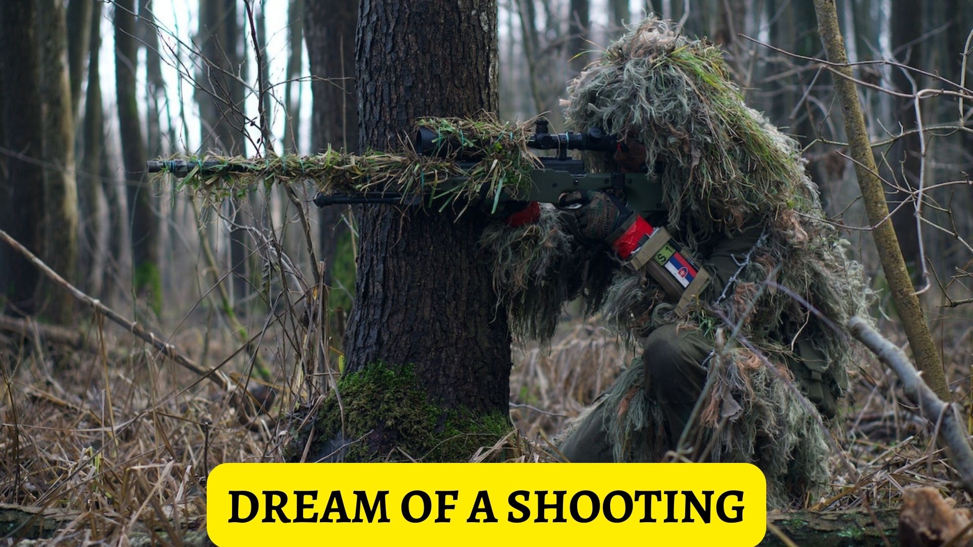 Dream Of A Shooting - Reflect Our Fears And Concerns