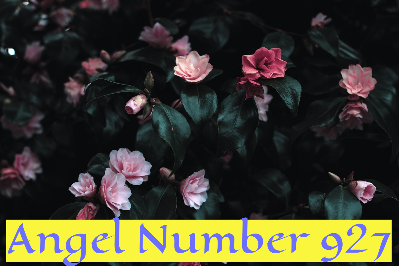 Angel Number 927 - Make You Stronger And Wiser