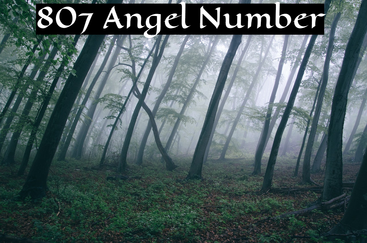 807 Angel Number Meaning - A Symbol Of Progress