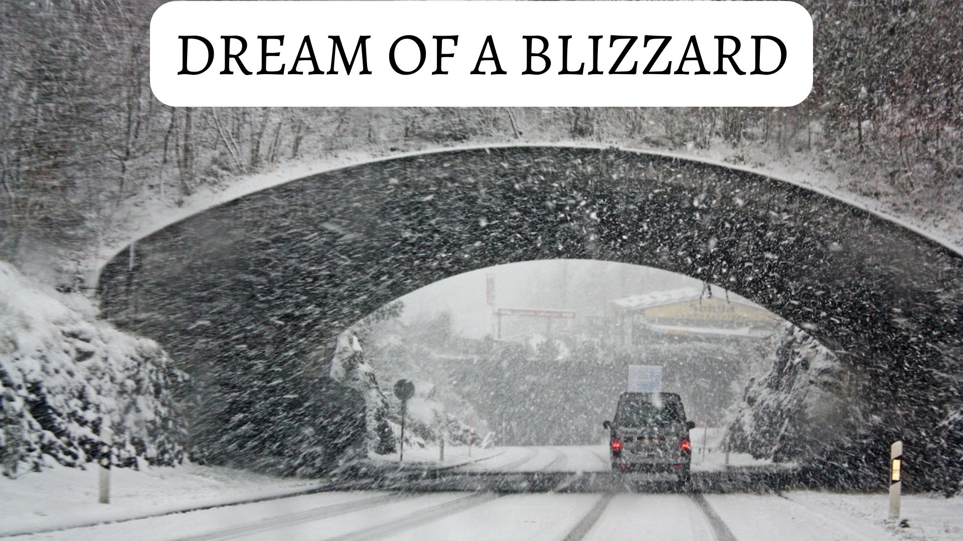 Dream Of A Blizzard - Fighting A Personal Battle In Your Waking Life