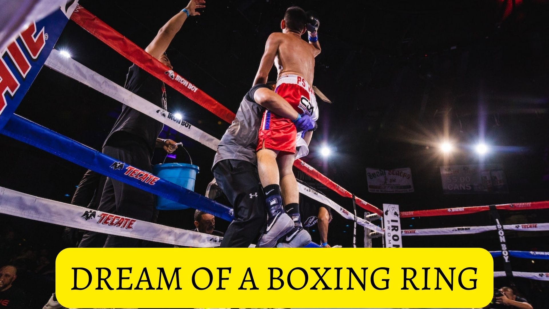 Dream Of A Boxing Ring - A Desire To Prove Your Worth