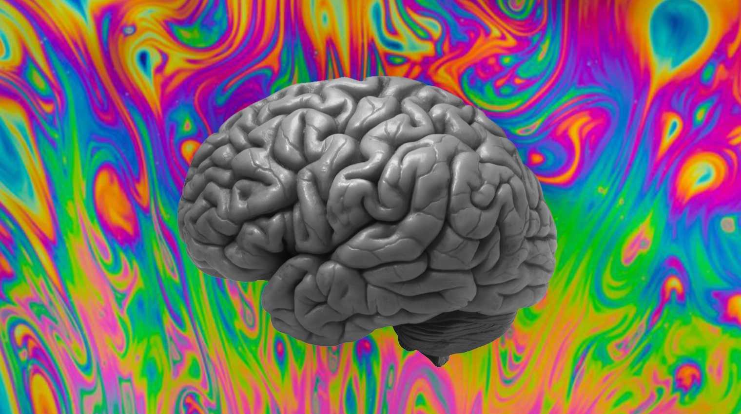 The human brain on a colorful background