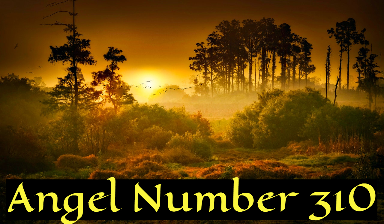923 Angel Number - Relates To The Field Of Hobbies