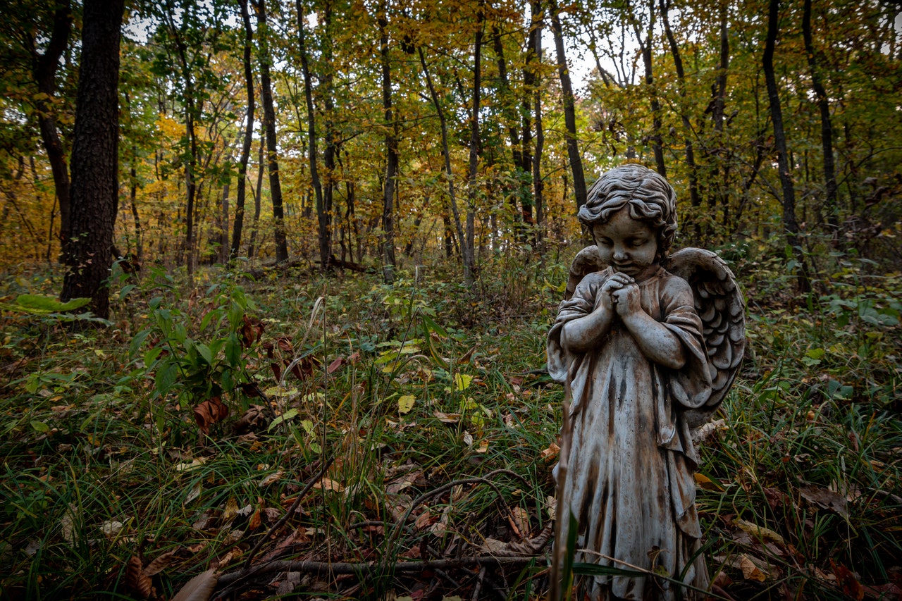 Angel Statue at a Forest