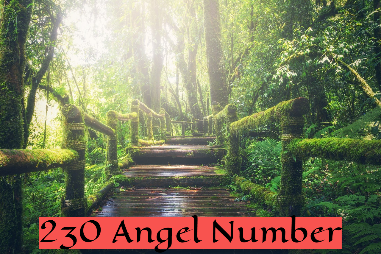 230 Angel Number - Represents Innovation And Transformation