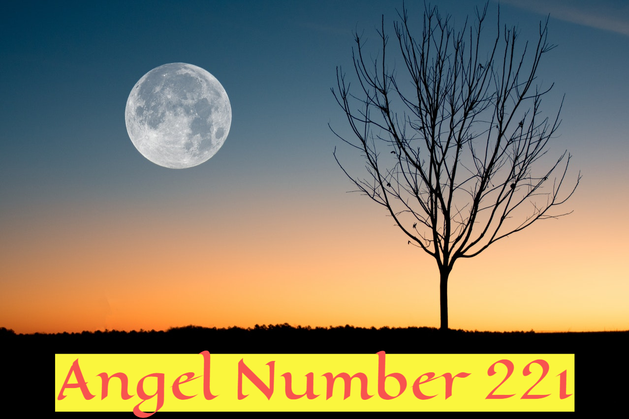 Angel Number 221 - Symbolizes Achievements And Bright Future