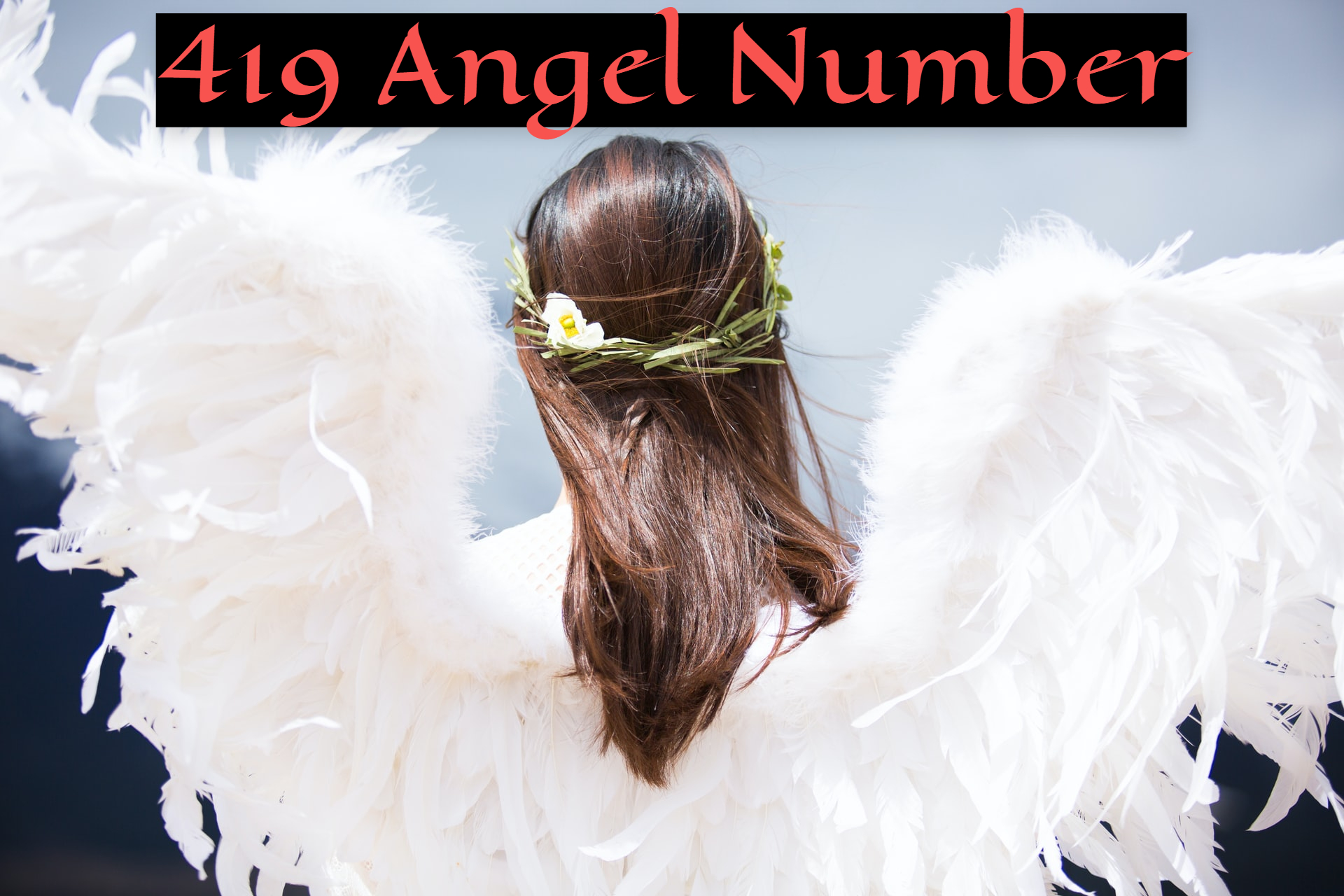 419 Angel Number - Indicates Your Ideal Employment