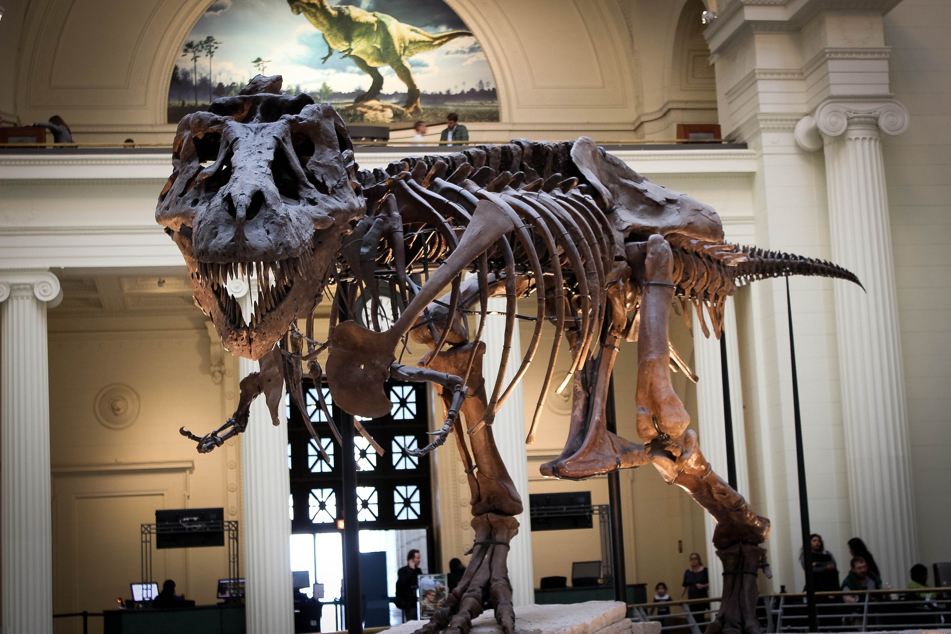 The Largest T-Rex Have Been 70% Bigger Than Previous Record Holder, Scientists Find