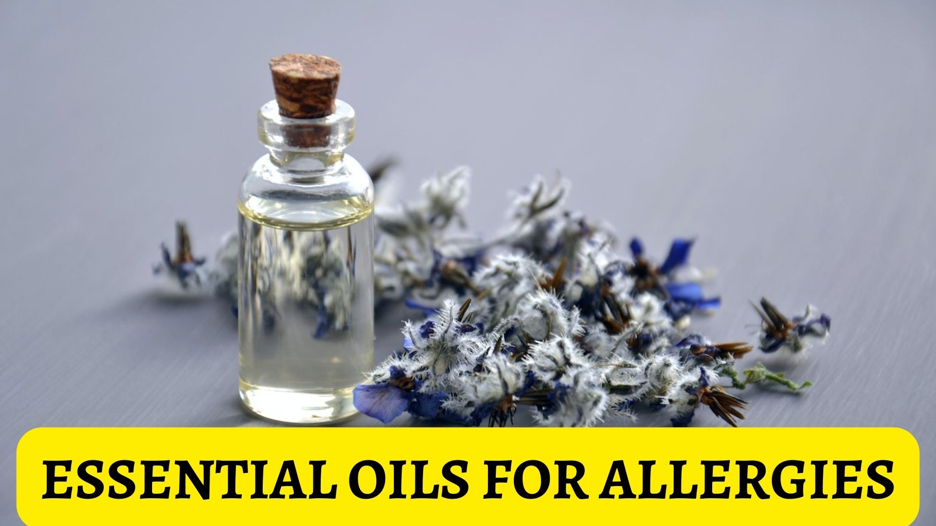 Essential Oils For Allergies - Help With Seasonal Allergy Symptoms