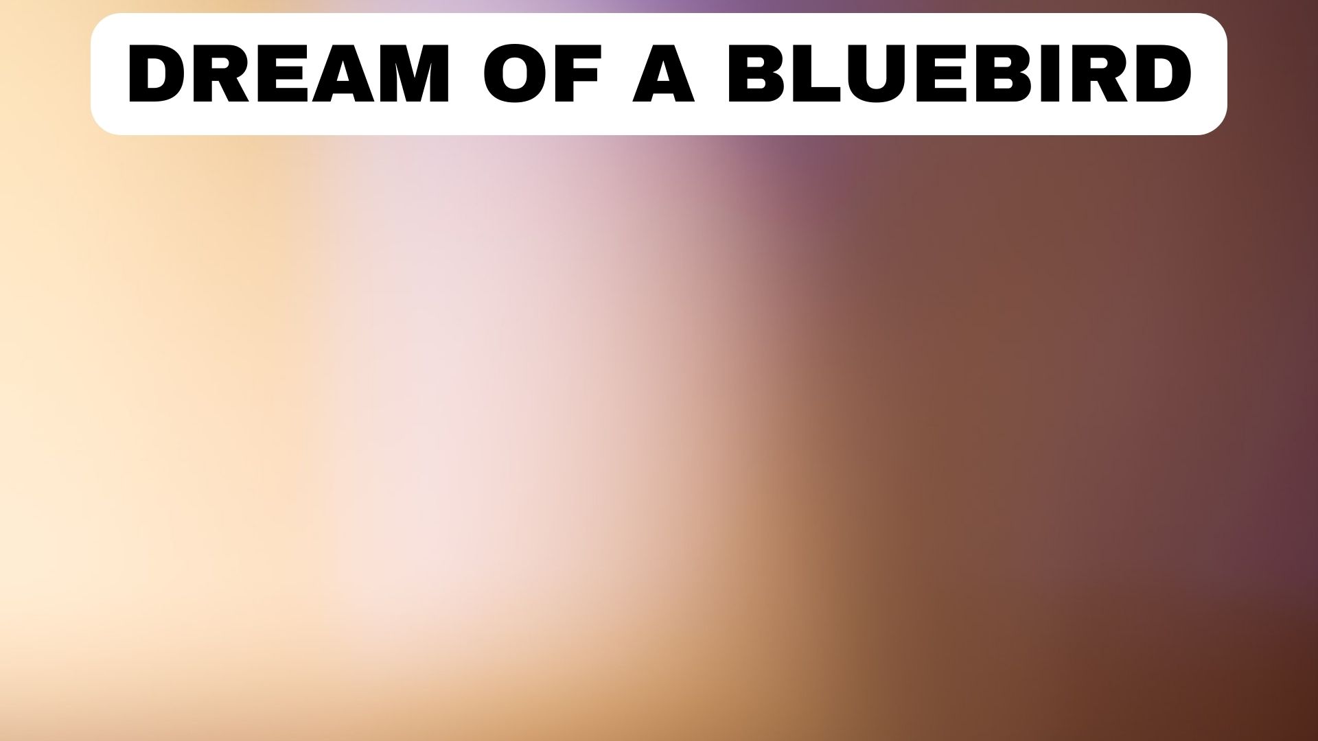 Dream Of Something Being Blurry - Meaning & Interpretation