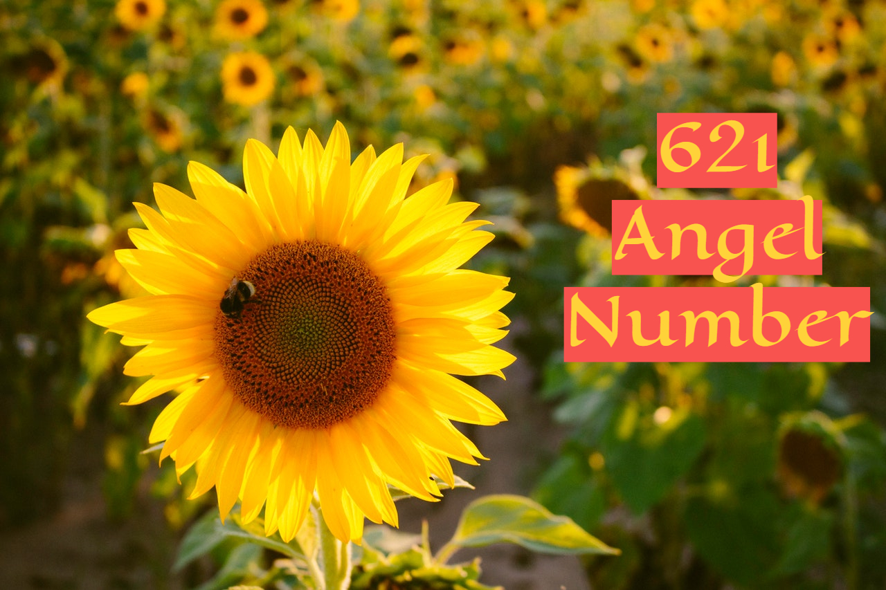621 Angel Number - Relates To The Field Of Relationships
