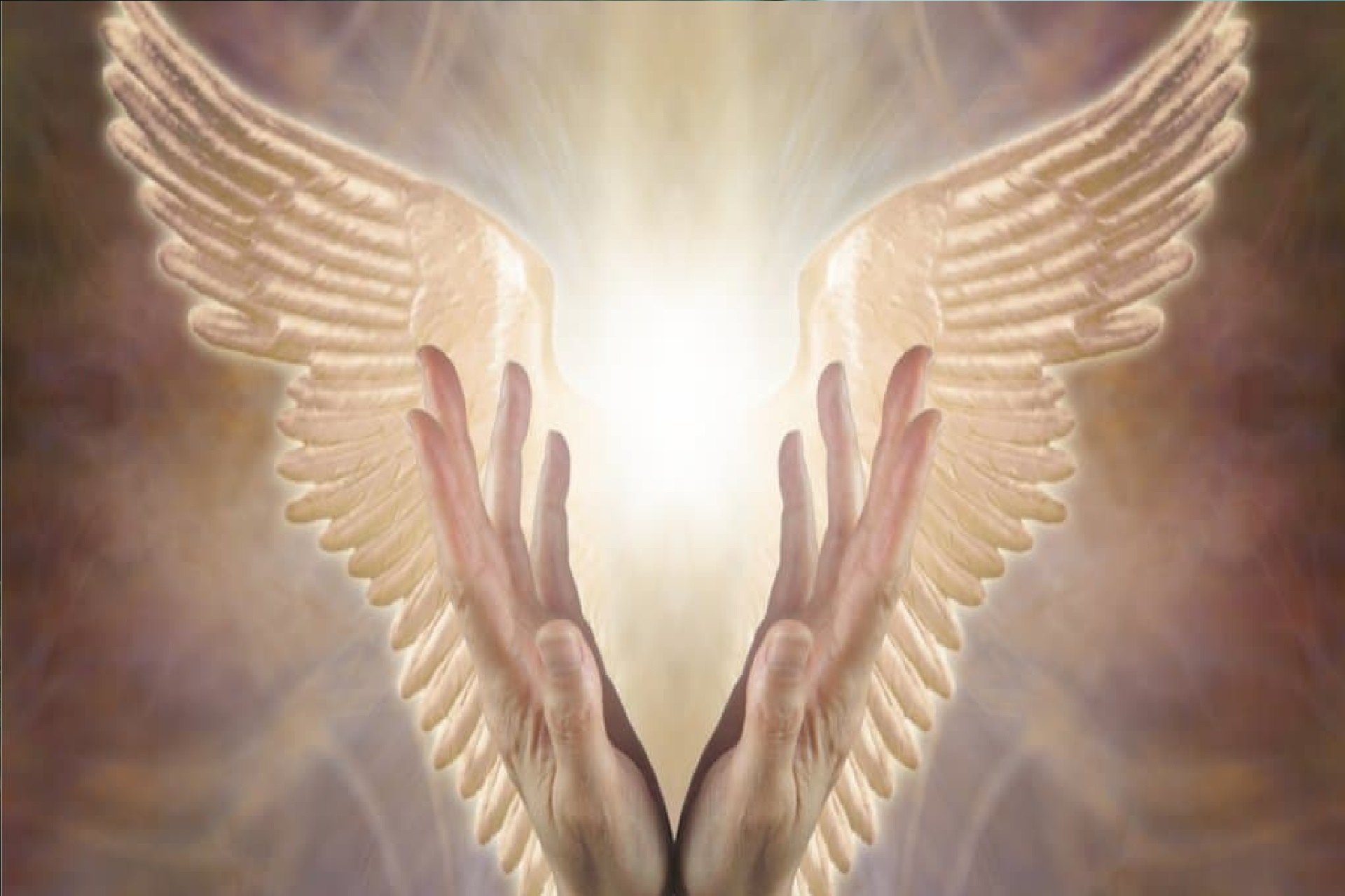 Hands Of A Person With Angelic Wings