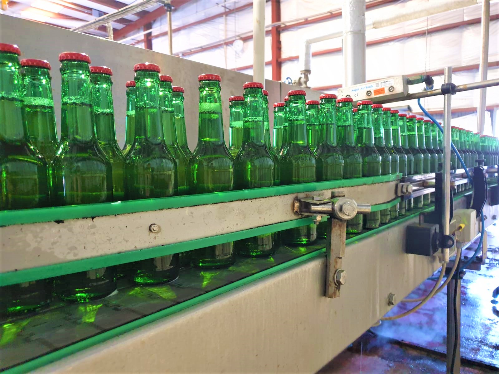 Pasteurization Of Beer - The Use Of Non-Thermal Technologies