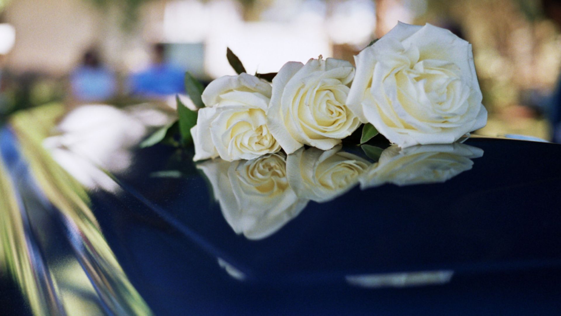 Three White Flowers on a casket