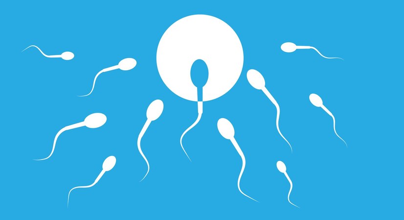 Confirm Whether Sperm Went Inside - Signs That Sperm Is Inside Your Body