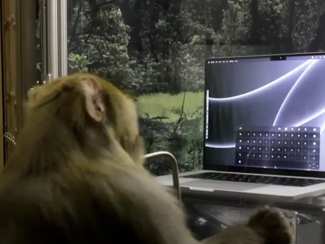Neuralink Has An Extraordinary Monkey That Writes Telepathically Using A Virtual Keyboard