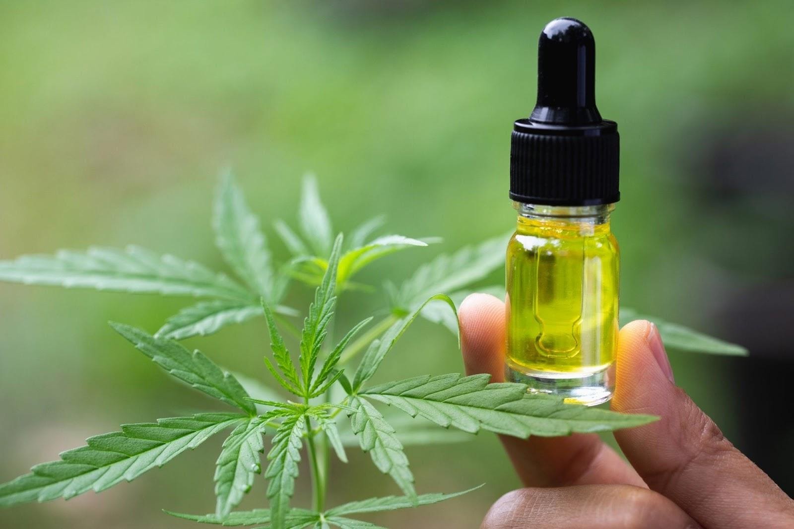 Two fingers holding a small transparent closed tincture bottle filled with CBD oil beside a cannabis leaf