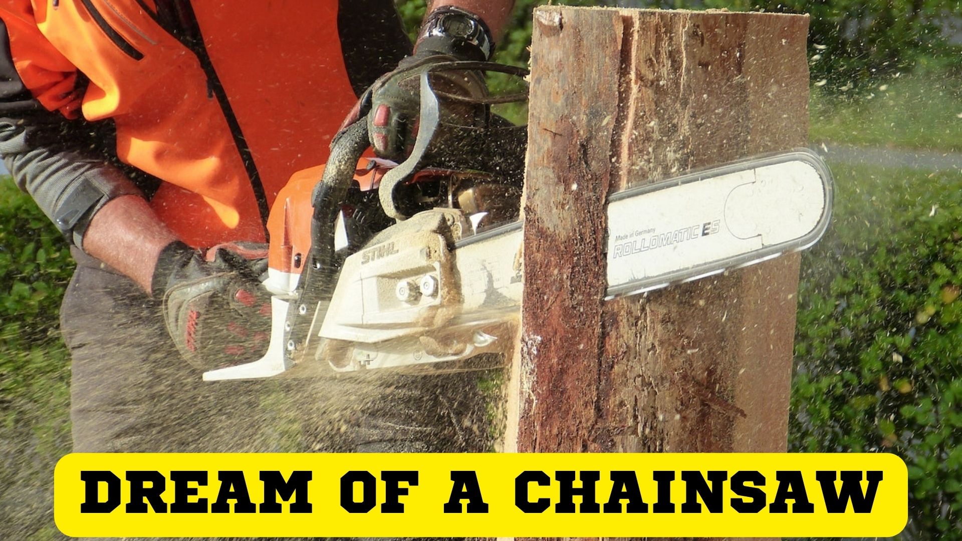 Dream Of A Chainsaw  - Talks About Your Strength And Stability